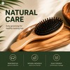 Boar Bristle Hair Brush for Detangling – Wood & Nylon