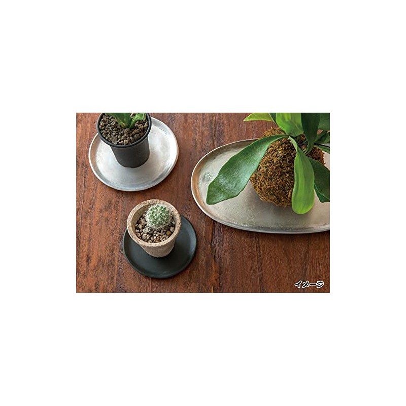 Posh Living 63637 Oval Plate, Silver, W 10.2 x D