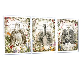 Gnosis Picture Archive Pulmonary Wall Decor set of 3 Unframed Anatomy of Human Lungs & Wildflowers Art Prints - Respiratory Therapist Gift - Medical Doctor Office Wall Decor