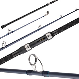 FISHAPPY Surf Rod Graphite Surf Spinning Fishing Rod with Seaguide Reel Seat (10' - 3 Piece)