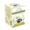 Organic Lemon Grass Green Tea, Low Caffeine Autopha Detox Tea