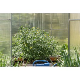 Professional Tomato Hooks Size S Pack of 10 Metal Cucumber Hooks Trellis with 5 m Compostable Cord Each