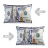 Money Throw Pillow Cover Queen Size Set of 2, 100