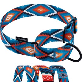 CollarDirect Aztec Martingale Collars for Dogs Heavy Duty Tribal Pattern Safety Nylon Training Collar Large Medium Small (Blue Geometric, XL, Neck Size 19"-24")