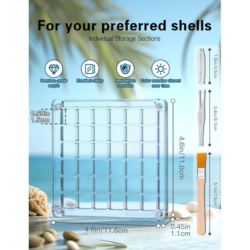 Seashell Display Box – 36 Grid Clear Acrylic Shell Holder