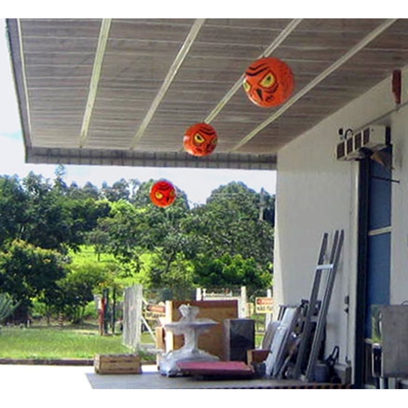 Bird-X T Terror Eyes