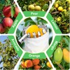 Fruit Picker and Gardening Harvest Storage Apron Set - 2.8m/9.2ft