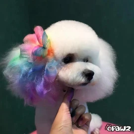 Opawz Pet Hair Chalk Purple Non-Toxic Temporary Washable Color Safe for Creative Grooming