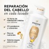 Shampoo Pantene Pro Daily Moisture Renewal Pack 820ml