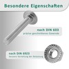 DSM - Carriage Bolts M6 x 35 mm DIN 603