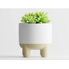 Deco Meet Luma – Modern 3D-Printed Planter with Elevated Base