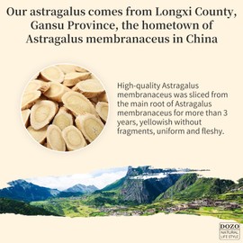 DOZO Astragalus Slice Radix Astragalus Root Huang qi Tea 黄芪 黄芪片 300g/10.5oz Premium Astragalus Root Tea Slices 黃芪