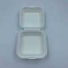50x Bio Take Away Box weiß 152 x 150 x
