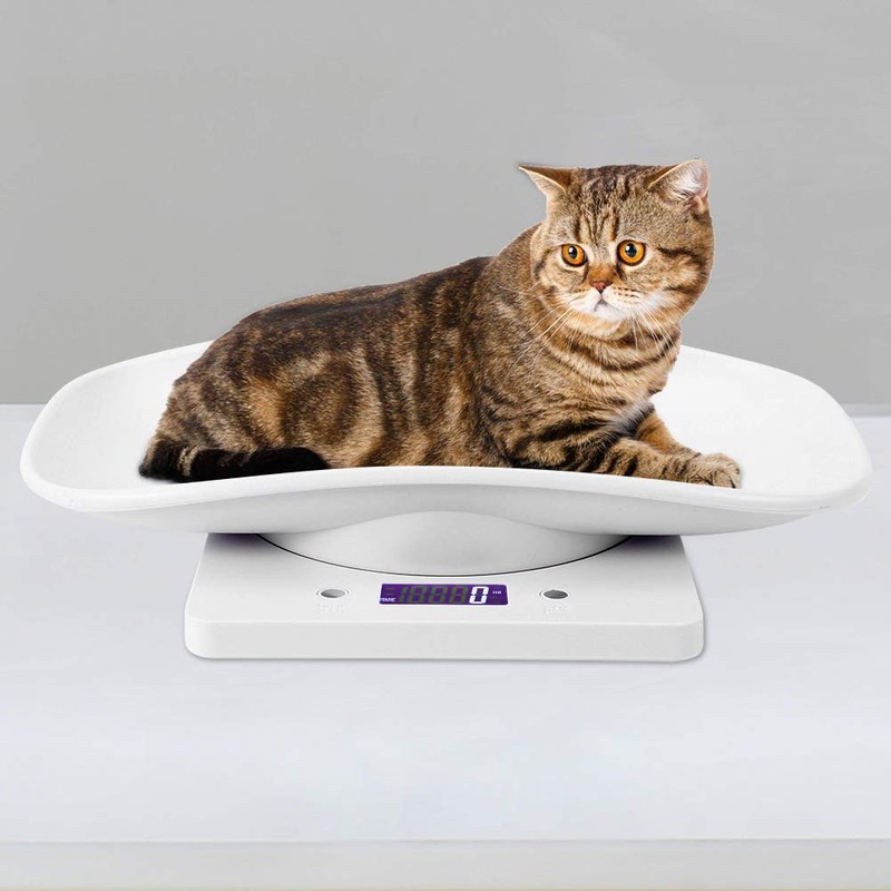 Multi-Function Baby Scale - 10kg/1g Digital Small Pet Weight Scale