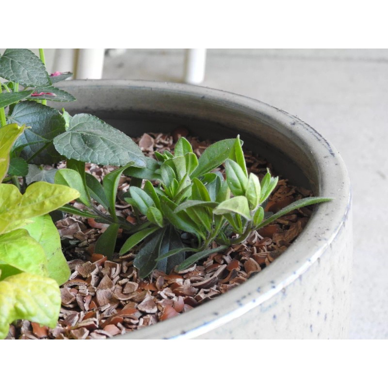 Hazel Shell Chips - Mulch Amendment Product - 1.5 CF