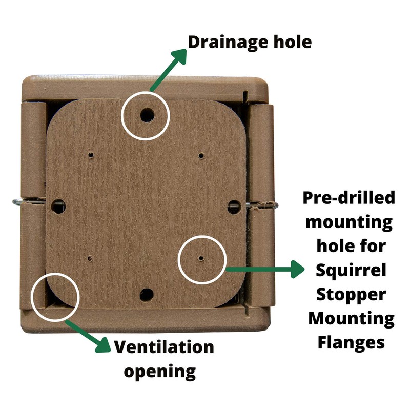 JCs Wildlife Ultimate Bluebird House (with Denali Squirrel Proof Pole,