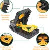 HASA zone Mouse Trap Snap Trap Pack of 2 Large
