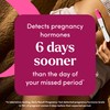 First Response Early Result Pregnancy Test, 5 Count Pack of