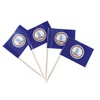 JBCD Virginia Toothpick Flag Mini Small Cupcake Topper Flags, 100