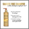 Pantene, Argan Oil Shampoo, Sulfate Free, Pro-V Gold Series, for
