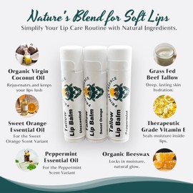 Dr. Dave's Primal Essence Moisturizing Tallow Lip Balm | Hydrating, Soothing Grass-Fed Beef Tallow, Organic Coconut Oil and Beeswax | Long Lasting, Eliminates Dry, Chapped Lips (Assorted, 3-Pack)