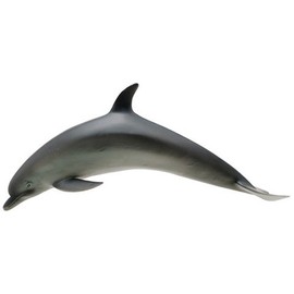 Bottlenose Dolphin Marine Life Toy Model