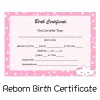 Reborn Pink Reborn Baby Birth Certificate!