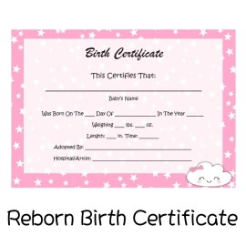 Reborn Pink Reborn Baby Birth Certificate!