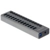 Delock External SuperSpeed USB Hub with 13 Ports + Switch