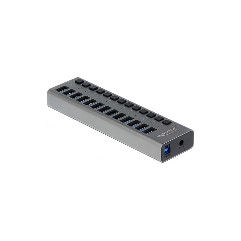 Delock External SuperSpeed USB Hub with 13 Ports + Switch