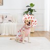 BurgeonNest Recovery Suit for Dogs + Cone Collar After Surgery,