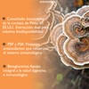 NEWMANITY Turkey Tail Mushroom Adaptogeno - 300 Cápsulas de Cola