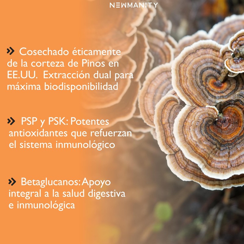 NEWMANITY Turkey Tail Mushroom Adaptogeno - 300 Cápsulas de Cola