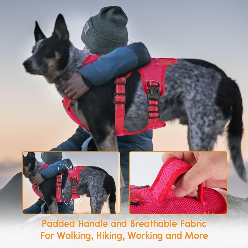 Escape Proof Dog Harness Medium Sized Six Point Adjustable, Soft