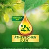 Air Wick Active Fresh – Aeorosolfreier, automatischer Lufterfrischer – Raumduft