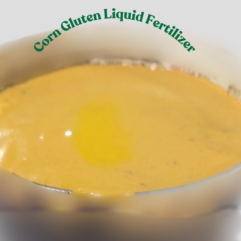 Liquid Corn Gluten Fertilizer, Natural Nitrogen, 1000 Sq Ft Coverage