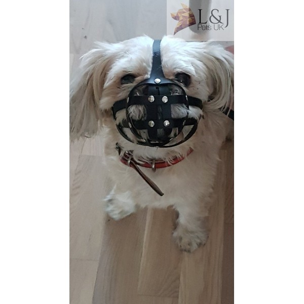 L&J Pets Uk Leather Dog Muzzle for Shih Tzu and