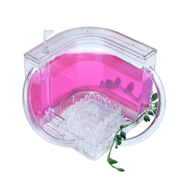 Runsmooth Ant Farm Castle Ant House Set Translucent Gel Nest Observation Kit With Pipe Insect Ecology Box Ant Breeding Cage Educational Toy For Kids Study Ants In The 3D Maze Pink