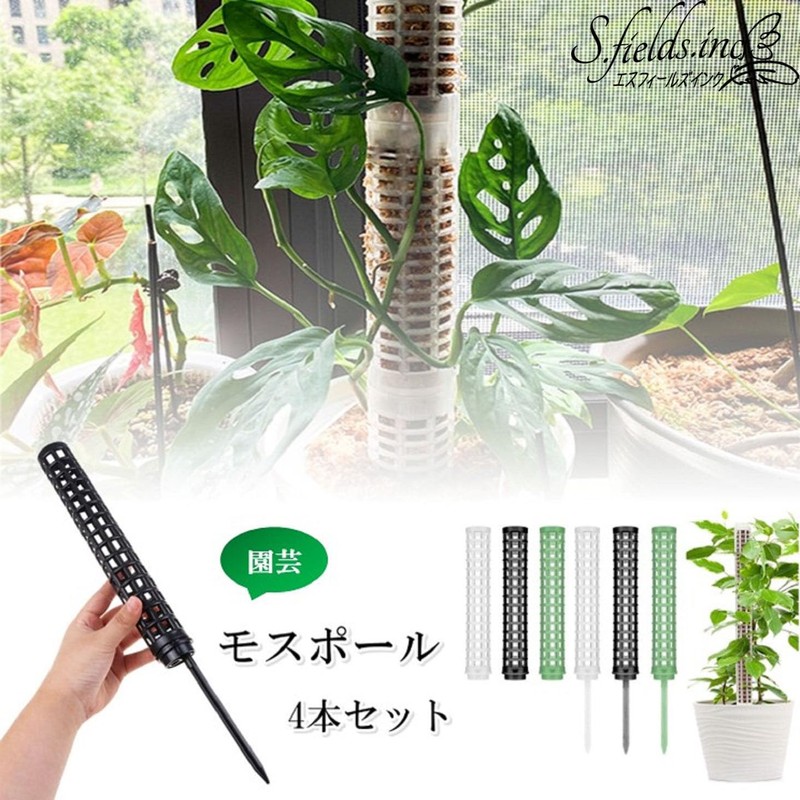 S.fields.inc Mospall Stanch, Set of 4 Connectable Plants, House Plants,