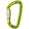 Edelrid Pure Screw 3 (Color: Oasis), Mountain Climbing, Carabiner, Screw