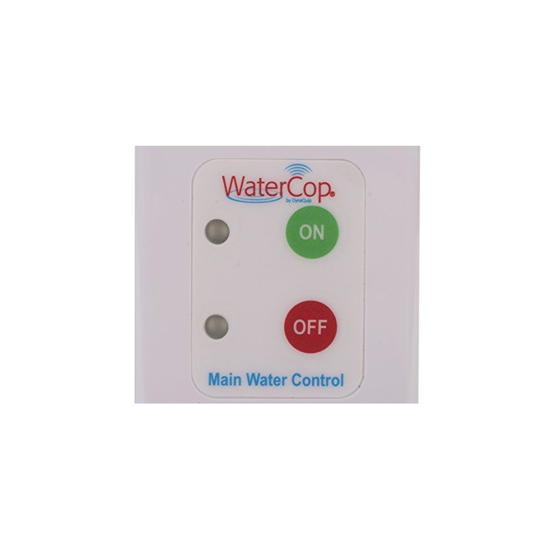 WaterCop Water Control Wall Switch