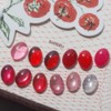 Povgel Tomato Magnetic Gel 6-piece set / 포브젤 토마토 자석젤