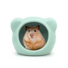 LuckyOpt Ceramic Hamster House, Cute Animal Shaped Hamster Cave, Summer Cool Small Animal Hideout Habitat Decor for Dwarf Hamsters, Gerbils, Chinchilla (Green)