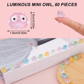 60pcs Glow in The Dark Mini Resin Owls, Luminous Miniature Owls Figurines Cute Tiny Animals for Garden Micro Landscape Pot Accessories Funny DIY Crafts Party Favors