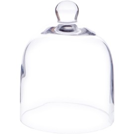 Plymor 5" x 6" Bell Jar Glass Display Dome Cloche (Interior size 4.75" x 4.5")