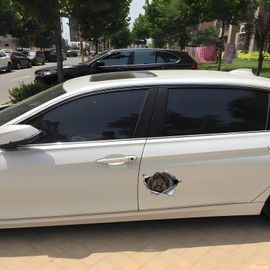 Car Sticker 25 cm (9.8 Inch) Poodle Sticker Funny Black Poodle Car Sticker Pet Dog Waterproof Sticker 3D Torn Metal Reflective Sticker Bumper Rear Window Decor