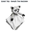 Riff Raff Bandit Raccoon Baby Sleep Sooth Lullaby White Noise