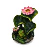 Fantasy Gifts Frog Under Lily Pads and Flower Backflow Incense