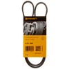 CONTITECH 4PK1000 6899