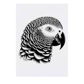 Azeeda 'Graupapagei' Temporäres Tattoo - Hautfreundlicher & Ungiftiger Abziehbild · Wasserfest (TO00084965)